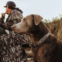 Load image into Gallery viewer, Burlebo Dog Collar in Gauge Camo